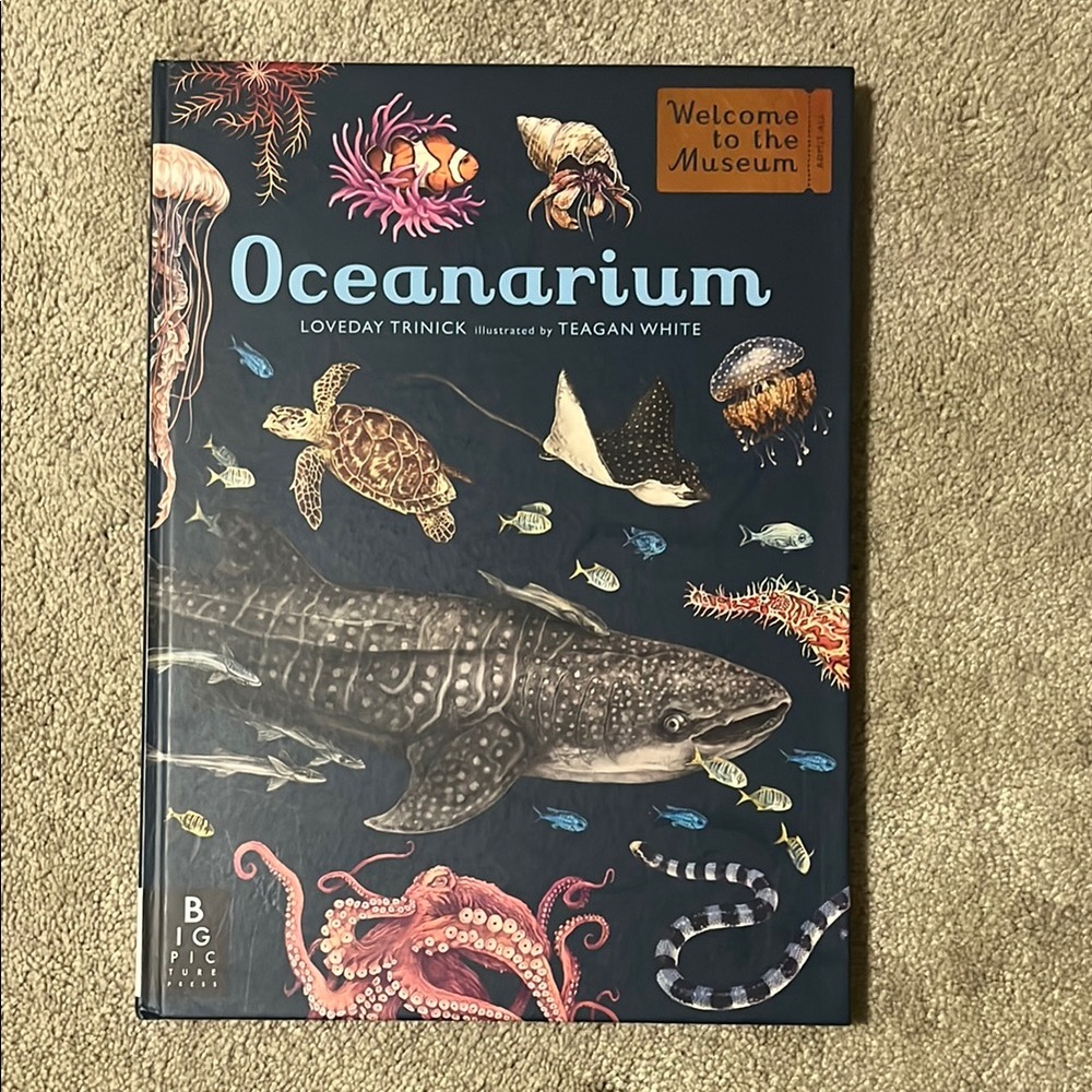Oversized Oceanarium Book